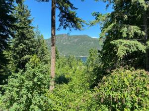 a view of the mountains from the forest at Blind Bay Chalet 2 Bedroom Private Suite in Blind Bay
