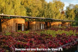 Zahrada ubytování Cava Colchagua Hotel Boutique