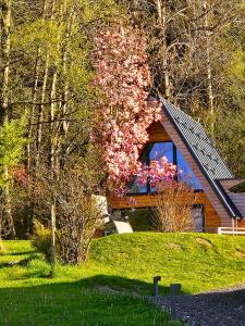 Zahrada ubytování Mountains & Lakes - Chaletdorf & Appartements