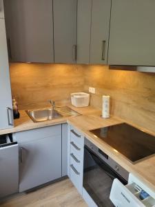 Η κουζίνα ή μικρή κουζίνα στο Ferienhaus Frieda +27 φωτογραφίες