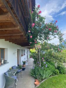 Zahrada ubytování Chalet Seeblick