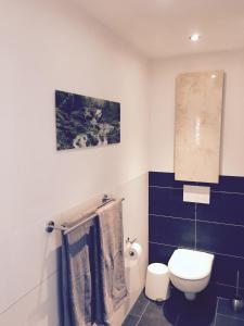 a blue and white bathroom with a toilet at Die 19 in Kappel-Grafenhausen