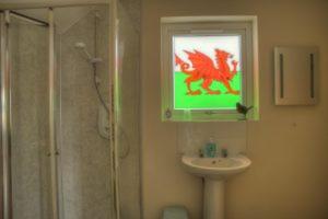 a bathroom with a television and a sink and a shower at Bro Dafydd in Aberystwyth