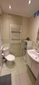 a bathroom with a toilet and a sink at Apartment KRIVÁŇ in Vyšné Hágy