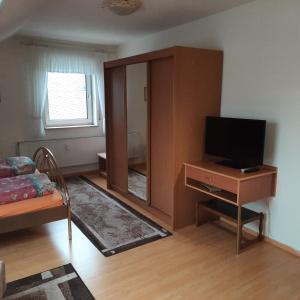 TV a/nebo společenská místnost v ubytování Ferienwohnung mit Rheinblick 2-4 Personen