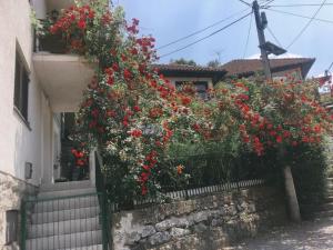 Zahrada ubytování La Pausa suite Prijepolje