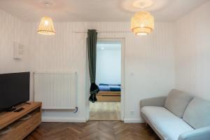 オルレアンにあるLa cour de Jeanneのソファとテレビのあるリビングルーム