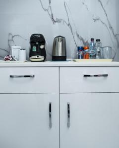 Η κουζίνα ή μικρή κουζίνα στο Iancu Jianu Premium Stay Studio 1