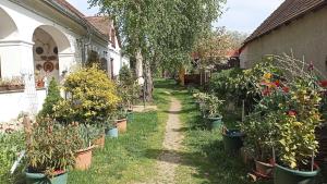 A garden outside Bozsoki Pihenő
