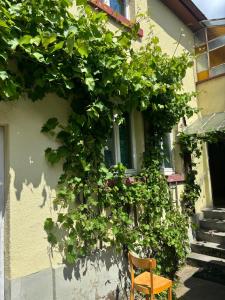 een houten stoel voor een gebouw bij 3 Floor XXL House, 7 Rooms, 2 Kitchen, 15 Minutes to Frankfurt, Washing Machine in Kelkheim