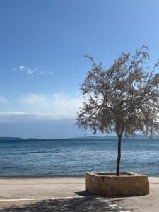 Landskap nær leiligheten