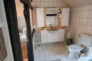 een kleine badkamer met toilet en wastafel bij Ferienhaus Fachwerklust in der Eifel in Mechernich +33 foto's