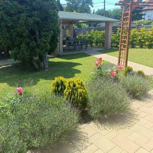 a garden with flowers and a ladder in the grass at Villa Mátis in Balatonederics