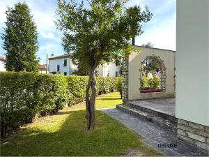 a tree in the yard of a house at AMALIA Villa & Apartments in Lucca