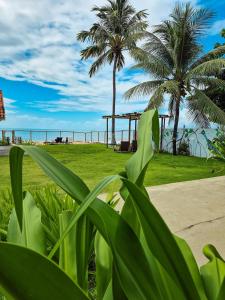 a view of the beach from a park with palm trees at Nossa Casa Maracaipe in Porto De Galinhas