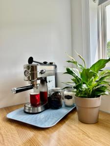 una cafetera sentada en una mesa con una planta en Bridgewater downtown apartment, en Bridgewater