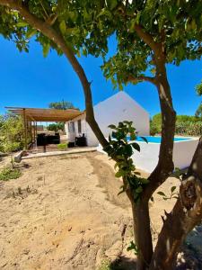 Πισίνα στο ή κοντά στο Idyllic, Charming Quinta das Laranjeiras