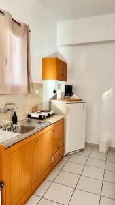 a kitchen with a sink and a white refrigerator at Viki Studios in Pefki +46 photos
