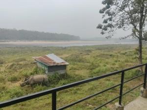 un rinoceronte in piedi in un campo accanto a un edificio di Ruru Riverside Hotel a Bharatpur
