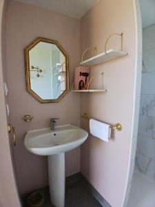 a bathroom with a sink and a mirror at gîte les 3 coquelicots bis in Coublanc