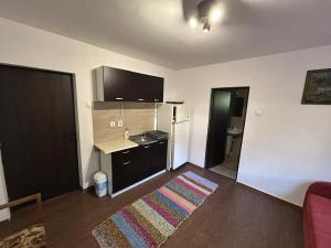 TV a/nebo společenská místnost v ubytování Casa Maksai