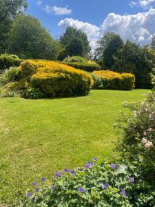 a garden with colorful flowers and bushes at Gallows Hill in Scarborough
