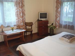 a bedroom with a bed and a desk and a television at Willa Wacława in Zakopane