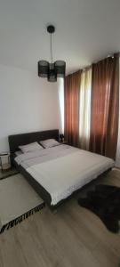 a bedroom with a large bed in a room at Studio Modern Class in Bucharest