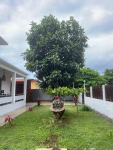 a tree in a yard next to a house at Toti guest house 1 in São Tomé