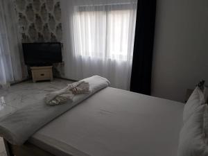 Afbeelding uit fotogalerij van Pensiunea VERA&MIR in Huşi