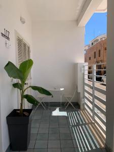 a plant in a pot on a balcony at VIRVIT CASA VACANZE in Porto Cesareo