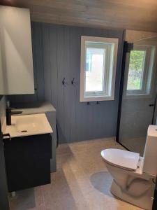 a bathroom with a toilet and a sink and a window at Koselig liten fjellhytte i flott turterreng både sommer og vinter in Hovda