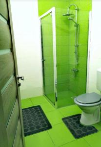 a green bathroom with a toilet and a shower at Apartament spațios 70mp cu 2 camere in Mamaia