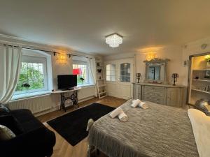 a bedroom with a bed and a couch and a tv at Hidden Hollow - Ultra Central in Braşov