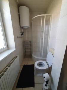 a small bathroom with a toilet and a shower at DaEl in Leoben