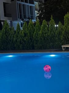 Piscina di Wave-ტალღა o nelle vicinanze