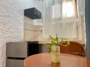a glass vase with a plant sitting on a table at Golden Paradise Oceanfront - Self Check in in Holbox Island
