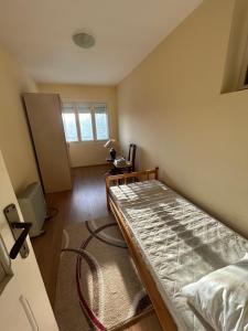 Postel nebo postele na pokoji v ubytování Apartmani Kostić