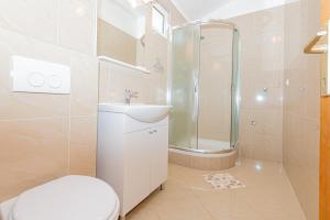 a bathroom with a toilet and a shower and a sink at Andrijas Apartments in Tribunj +90 photos