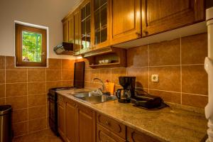 Kuchyň nebo kuchyňský kout v ubytování Ava apartmani