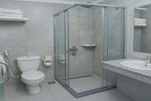 a bathroom with a shower and a toilet and a sink at Miramar Green Talaat harb in Cairo +28 photos