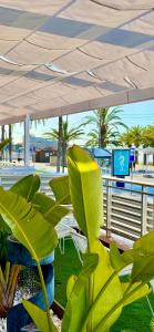 Fotografie z fotogalerie ubytování Hotel Neptuno v destinaci San Pedro del Pinatar