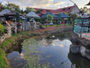 a pond in a garden with rocks and umbrellas at The falls hippo point in Nyahururu