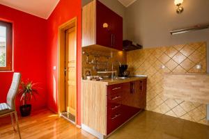 Kuchyň nebo kuchyňský kout v ubytování Ava apartmani