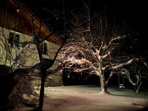 Fotografie z fotogalerie ubytování Relais de la Baume v destinaci Le Locle