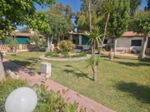 einen Hof mit Palmen und einem Haus in der Unterkunft Casa vacanza sul mare 1 in Santa Caterina Dello Ionio Marina