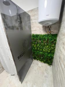 a shower in a bathroom with green plants on the wall at LA PLAYA - Camere pe plaja cu sezlong gratuit in Eforie Nord +68 photos