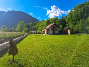 a house in a field with a hill in the background at Apartment Savkovic in Šipovo
