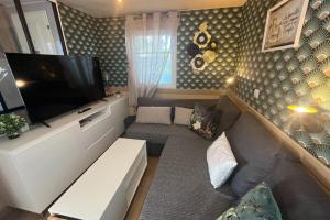 Μια τηλεόραση ή/και κέντρο ψυχαγωγίας στο Charming mobile home with pool in Hyères