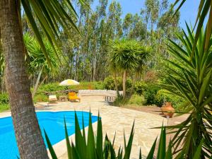 AlvaiázereWellbeing guesthouse Casa é Connosco的有游泳池和棕榈树的度假村